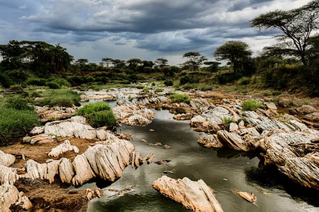 atmosph&egrave;re un paysage typique de Tanzanie