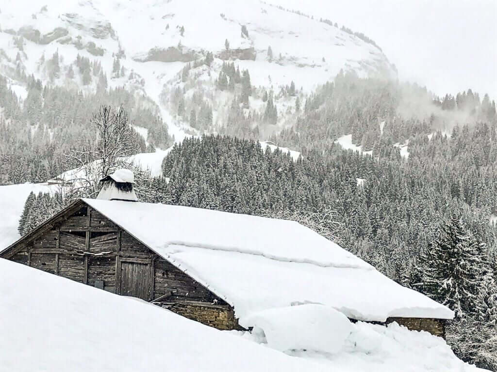 Glissade transcende la simple photographie, offrant une escapade visuelle dans un monde o&ugrave; le noir et blanc raconte une histoire de r&eacute;silience et de beaut&eacute; naturelle.