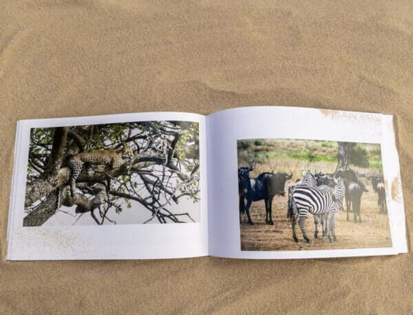 Carnet Photo Uhuru – Image 5