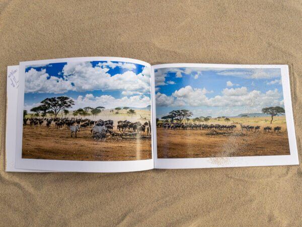 Carnet Photo Uhuru – Image 3