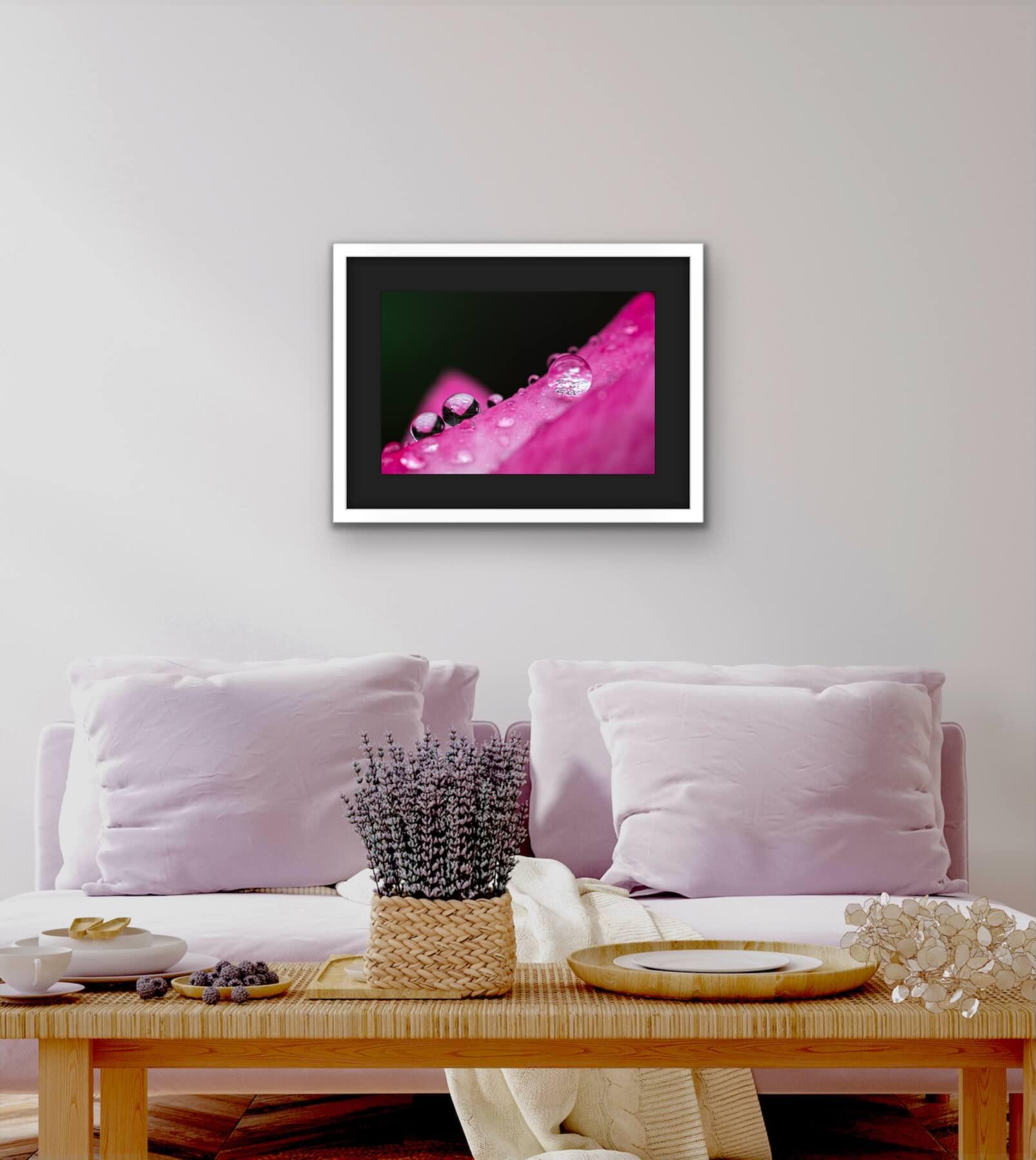 Avant l'Oubli – Image 3